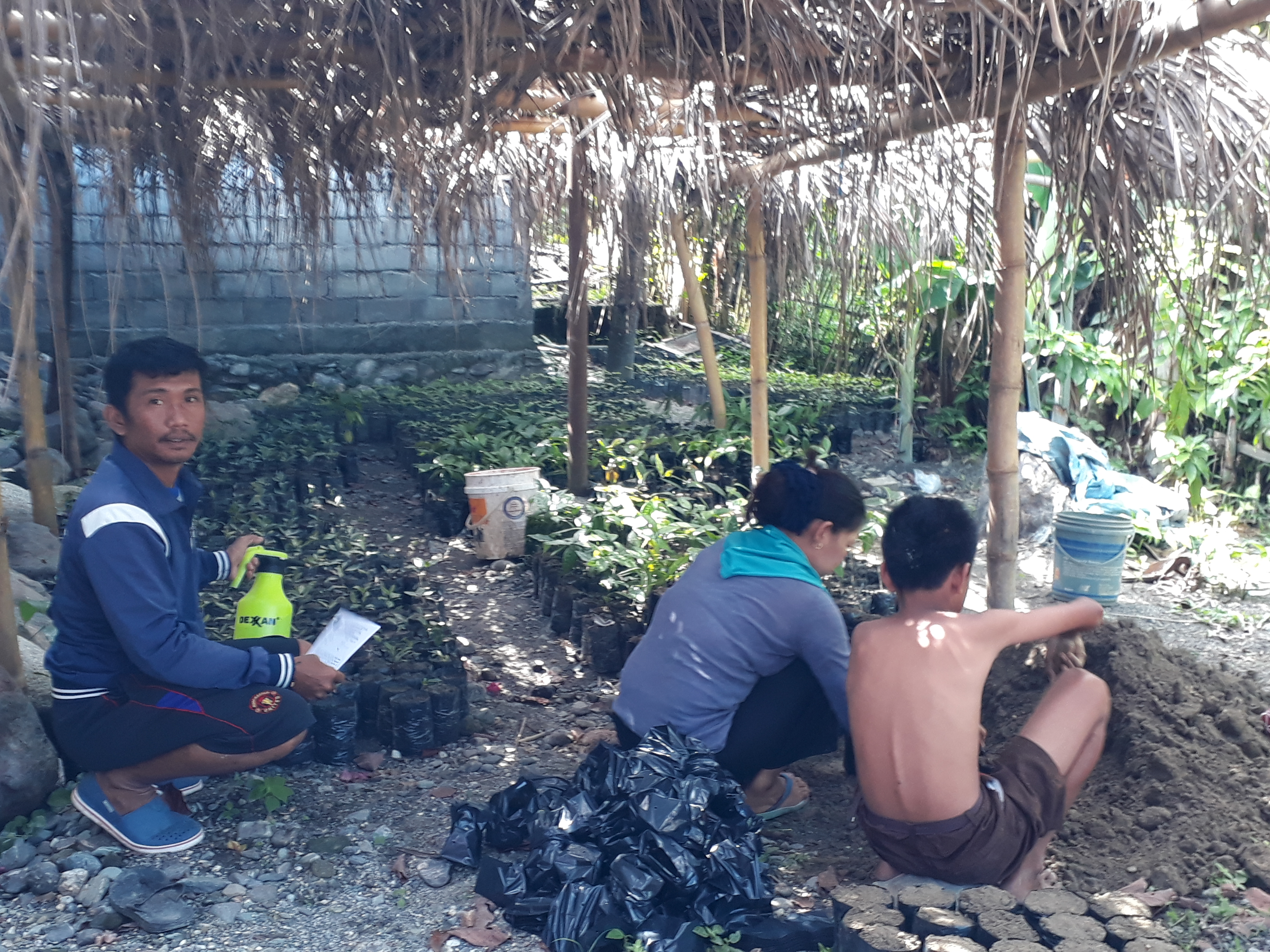 Kelompok HKm kembangkan Usaha Pembibitan