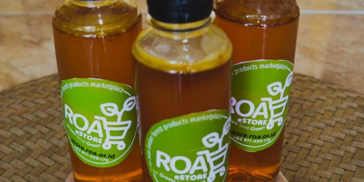 ROA Sulteng bangun kerjasama KPH kembangkan hasil hutan nonkayu