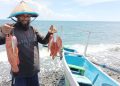 Nelayan Tangkap Ikan Karang Sirenja