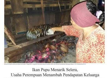 Roa Wallacea : Sahabat yang Menghargai Kehidupan
