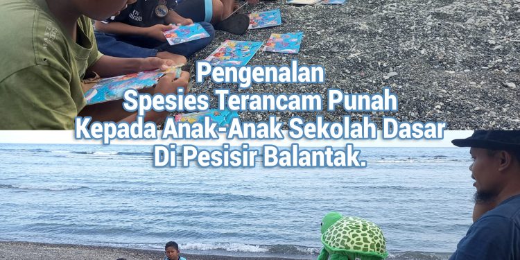 Pengenalan Spesies Terancam Punah Kepada Anak-Anak Sekolah Dasar Di Pesisir Balantak.