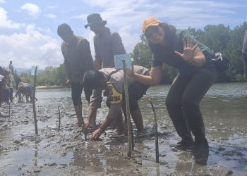 Bupati Parigi Moutong Ajak Semua Pihak Peduli Mangrove
