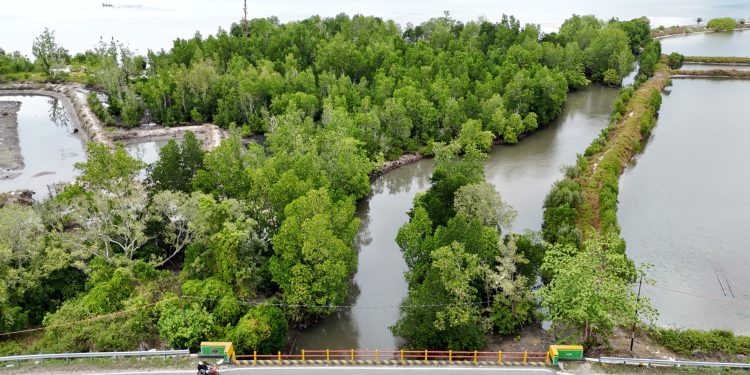 Meningkatkan Kelestarian Ekosistem Terestrial dan Pesisir Secara Berkelanjutan