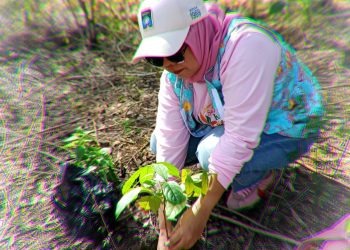 Aksi Ibu-Ibu KICI Tanam 150 Pohon di Tahura Sulteng