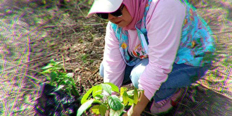 Aksi Ibu-Ibu KICI Tanam 150 Pohon di Tahura Sulteng