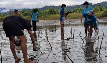 2.600 Mangrove Ditanam Pemuda Oncone Raya, Antisipasi Bencana dan Perubahan Iklim